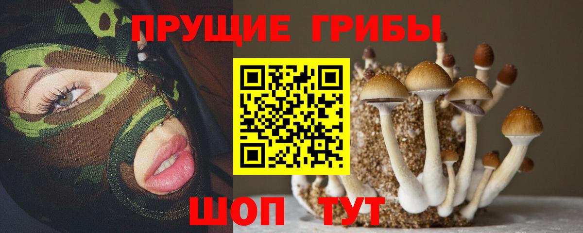Псилоцибиновые грибы MAGIC MUSHROOMS  Вход с VPN  Медногорск 